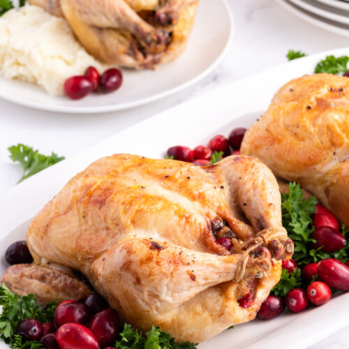 cranberry stuffed cornish hen on a platter