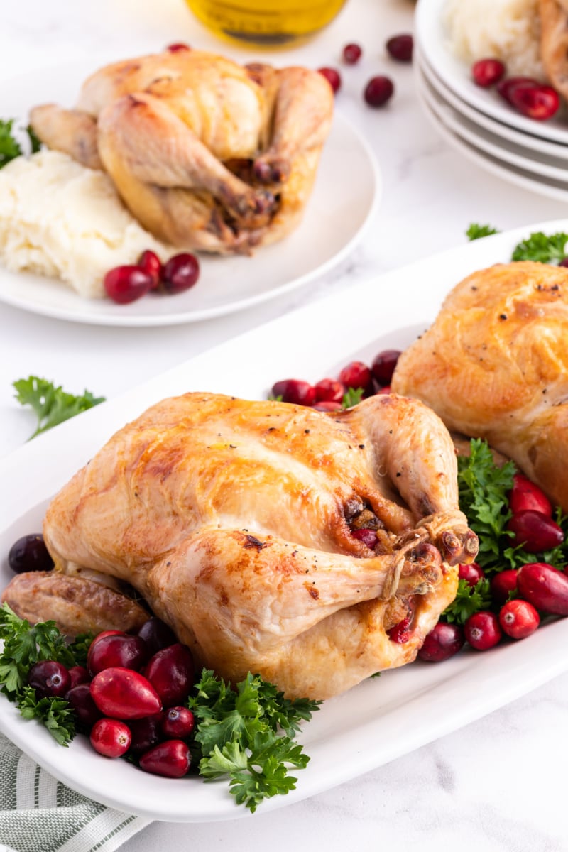 cranberry stuffed cornish hen on a platter