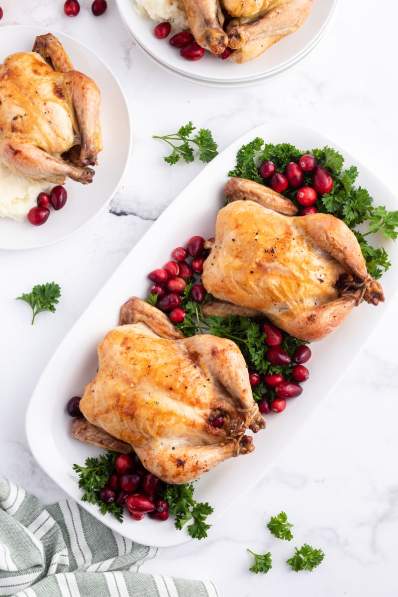 cranberry stuffed cornish hens on platter