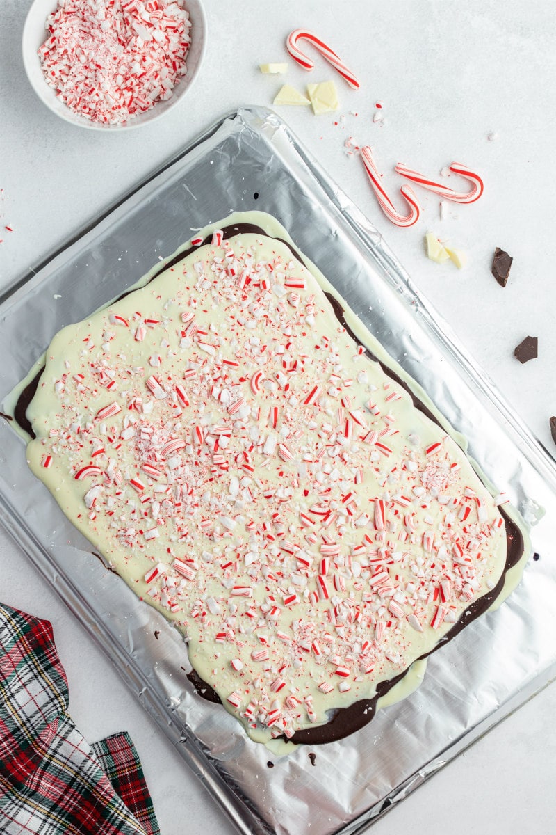 showing layered peppermint crunch bark in a pan ready to be cut