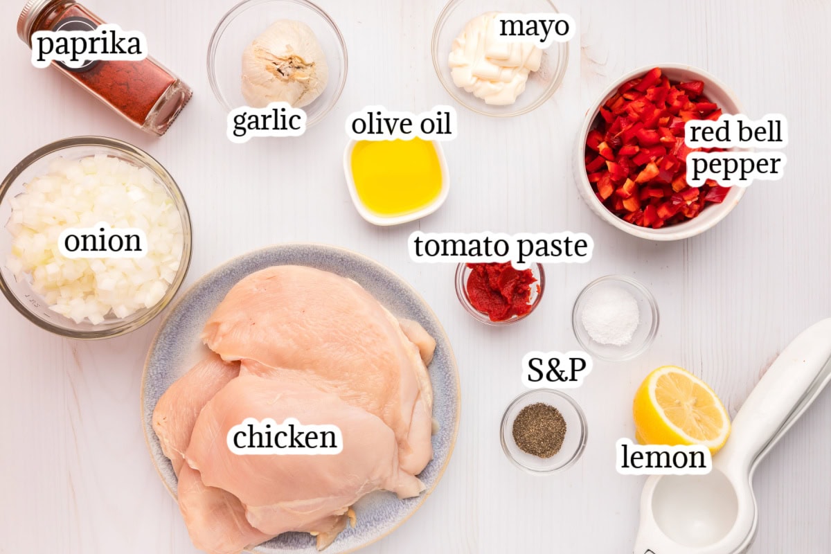 ingredients displayed for making smothered chicken