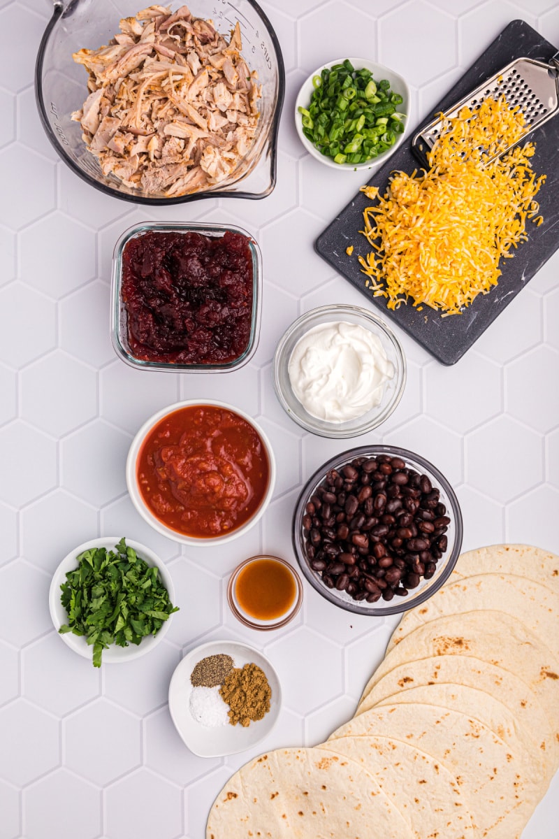 ingredients displayed for making cranberry turkey enchiladas