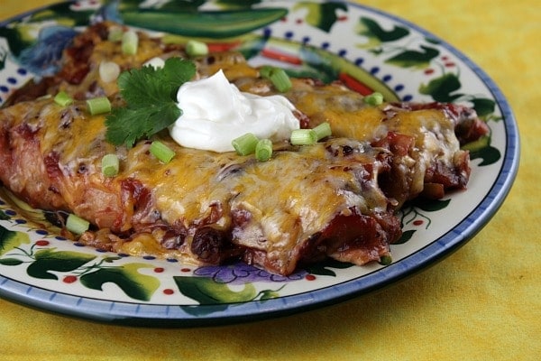 Plate of cranberry turkey enchiladas