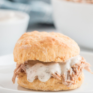 alabama pulled pork sandwich with sweet potato biscuit