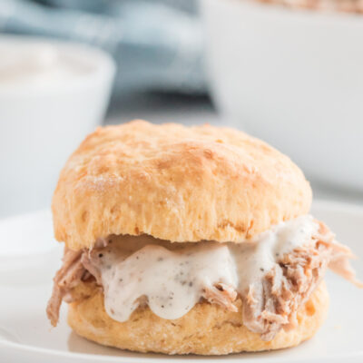 alabama pulled pork sandwich with sweet potato biscuit