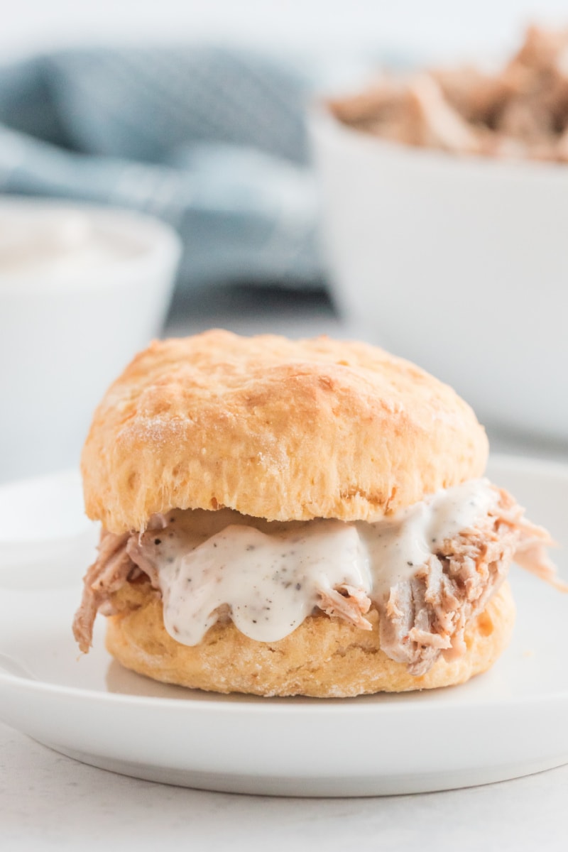 alabama pulled pork sandwich with sweet potato biscuit