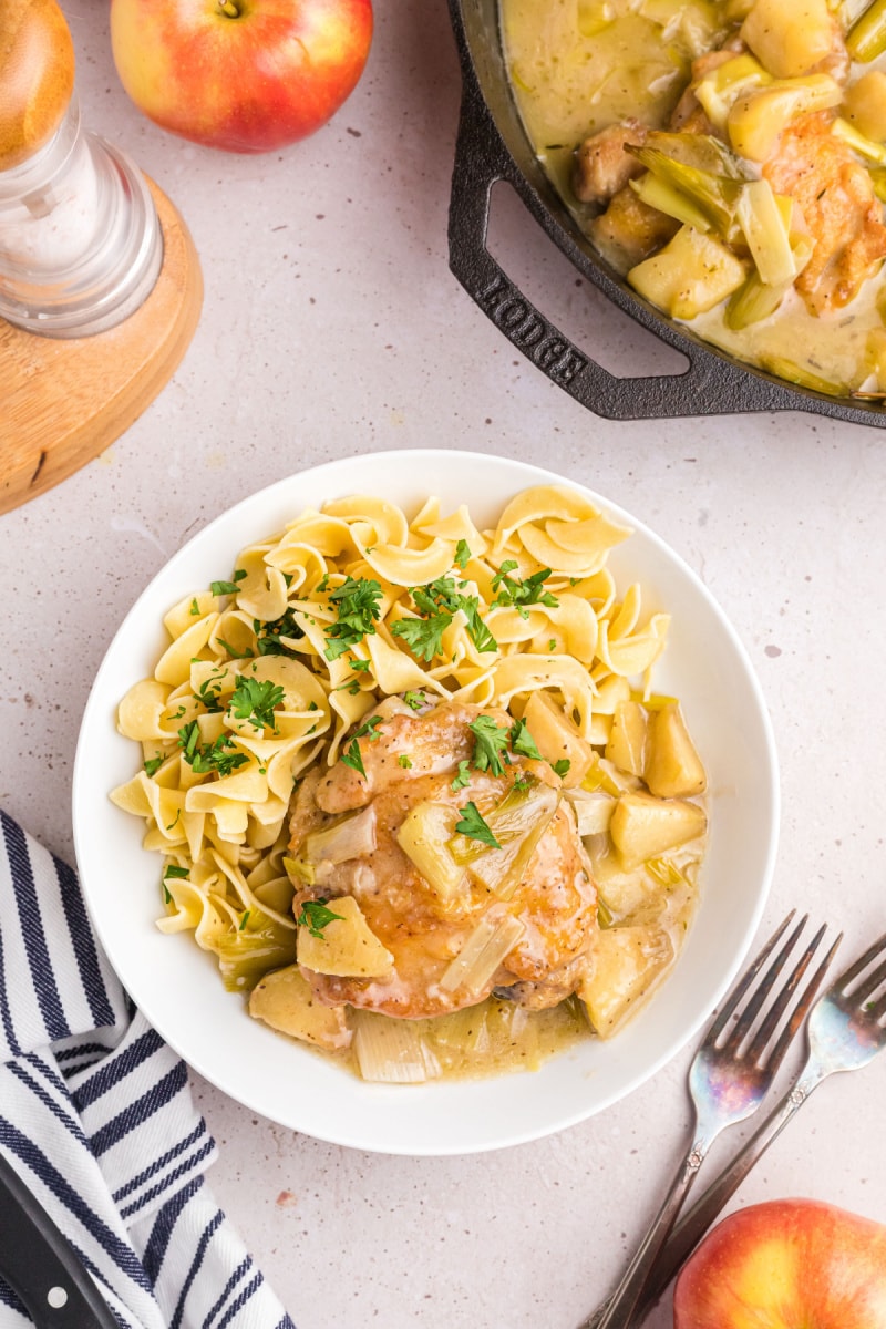 plate of chicken, leek and apple stew over noodles