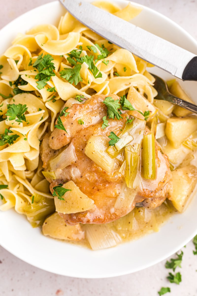 plate of chicken, leek and apple stew over noodles