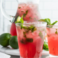 Vodka Party Punch - Recipe Girl