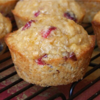 cranberry whole grain muffins