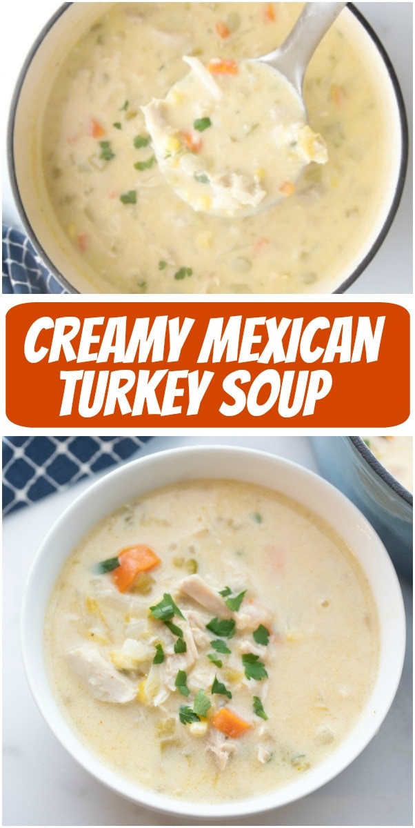 Creamy Mexican Turkey Soup - Recipe Girl