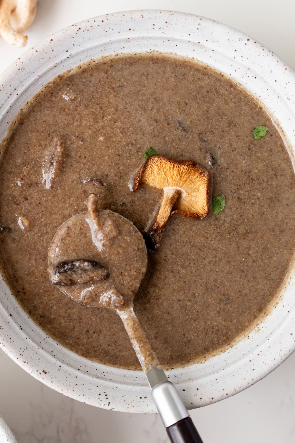 If you love mushrooms, you need to try this Roasted Mushroom Soup! Shiitake and cremini mushrooms are roasted to bring out their rich, earthy flavor, then combined with white wine, fresh thyme and a touch of cream. A delicious homemade soup for fall, winter or any cozy dinner! spoon in bowl of roasted mushroom soup