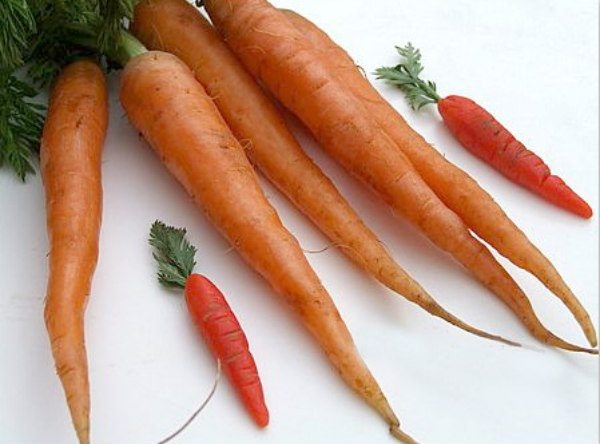 Marzipan Carrots vs. Real Carrots