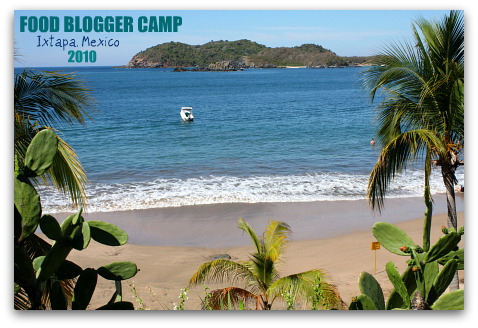 Food Blogger Camp Ixtapa 2