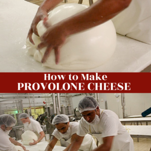 two photos showing how ot make provolone cheese