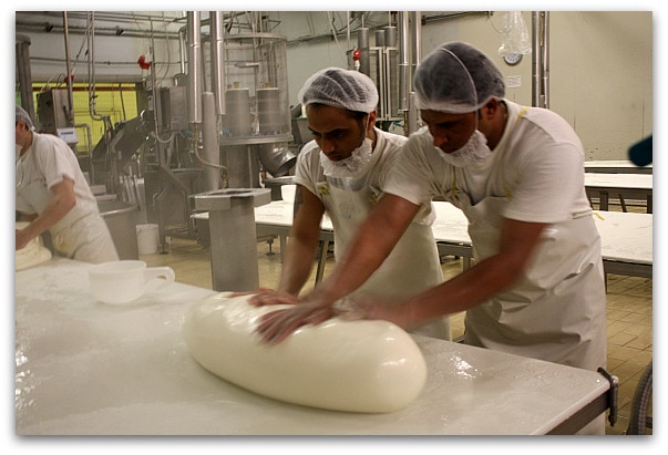 How Auricchio Provolone Make - to Cheese - Italy
