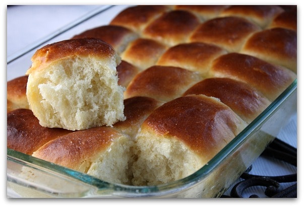 Traditional Thanksgiving Dinner Menu: the rolls