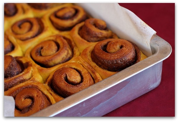 Pumpkin Cinnamon Rolls 2.