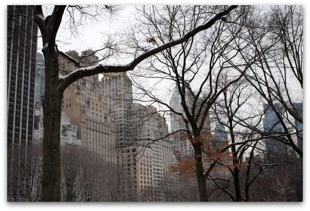 Central Park NYC