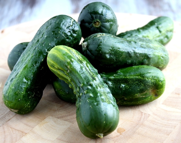 pickling cucumbers sitting on a cutting board