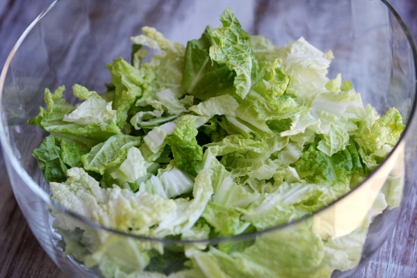 Thai Summer Salad recipe from RecipeGirl.com Bowl of Chopped Cabbage