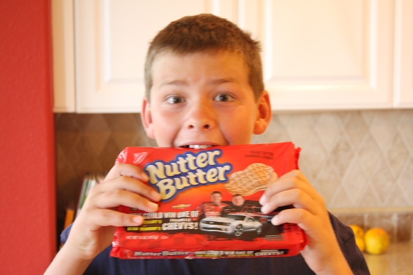RecipeBoy with Nutter Butter Cookies