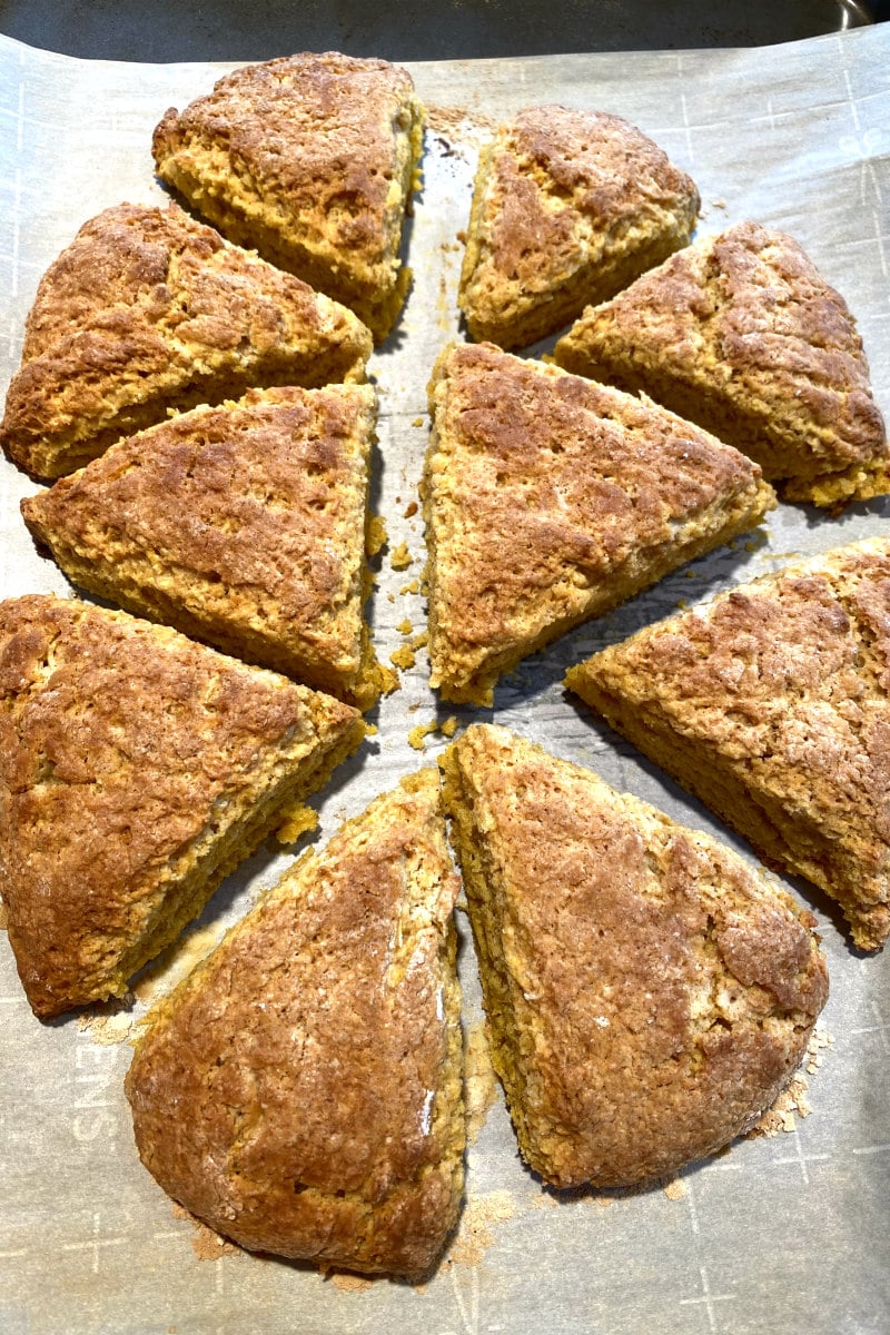 pumpkin scones just out of the oven waiting for glaze