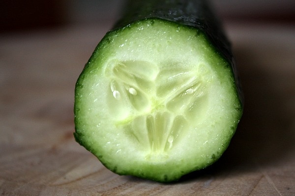 Cucumber