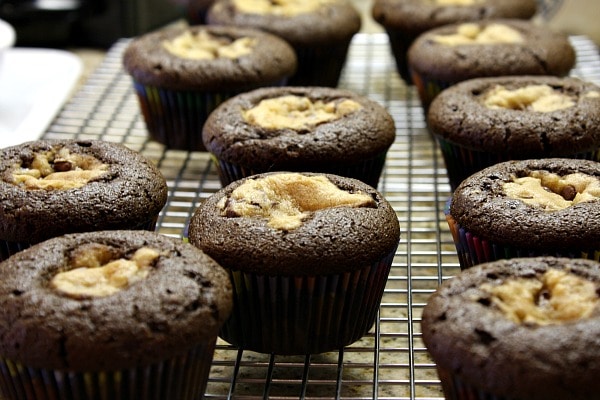 Chocolate Chip Cookie Dough Cupcakes out of the oven