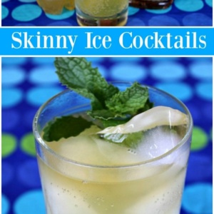 Skinny Ice Cocktails - Recipe Girl