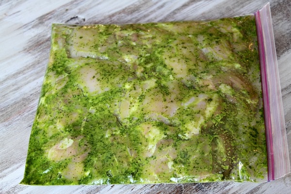 Easy Grilled Cilantro Chicken recipe from RecipeGirl.com #easy #grilled #cilantro #chicken #thighs #recipe #RecipeGirl How to Make Cilantro Chicken