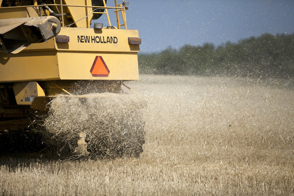 combine blowing out wheat