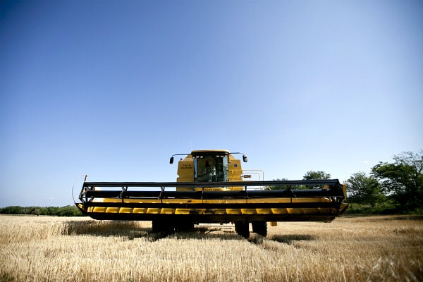 combine in wheat field