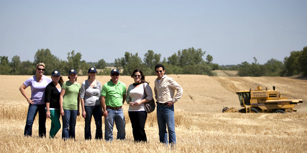 bloggers in a wheat field