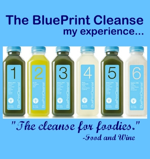 blueprint cleanse book blueprint cleanse book