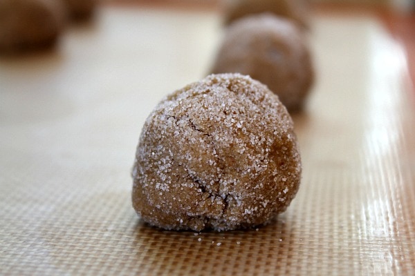 gingersnap cookie dough ball