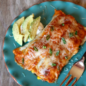 vegetable enchiladas on a plate