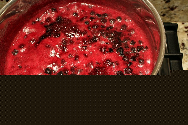 Blueberry Jam bubbling in a pot on the stove