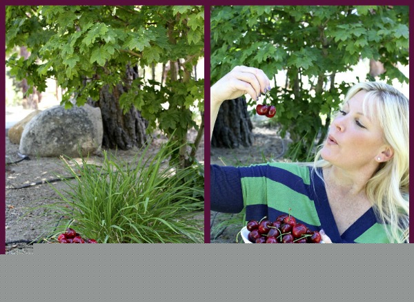 Fresh cherries in a bowl in a backyard setting with a girl holding cherries and admiring them