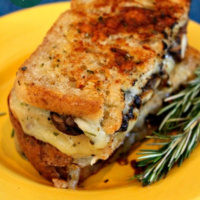 Mushroom Grilled Cheese on a yellow plate