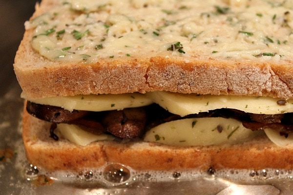 Mushroom Grilled Cheese with Balsamic Caramelized Onions 10