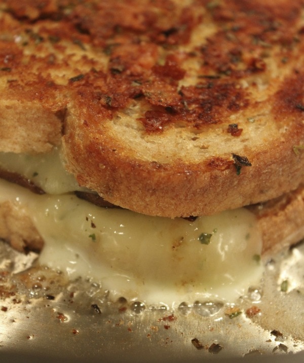 Mushroom Grilled Cheese with Balsamic- Caramelized Onions Mushroom Grilled Cheese with Balsamic Caramelized Onions 11