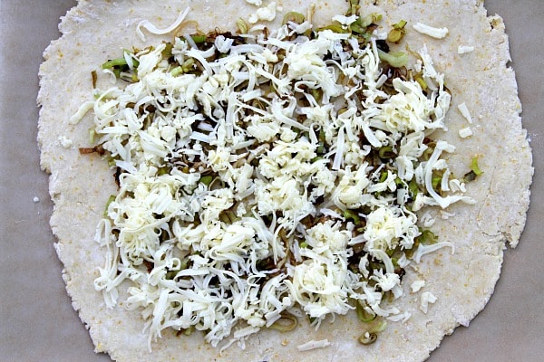 Onions and Cheese on Rolled Out dough