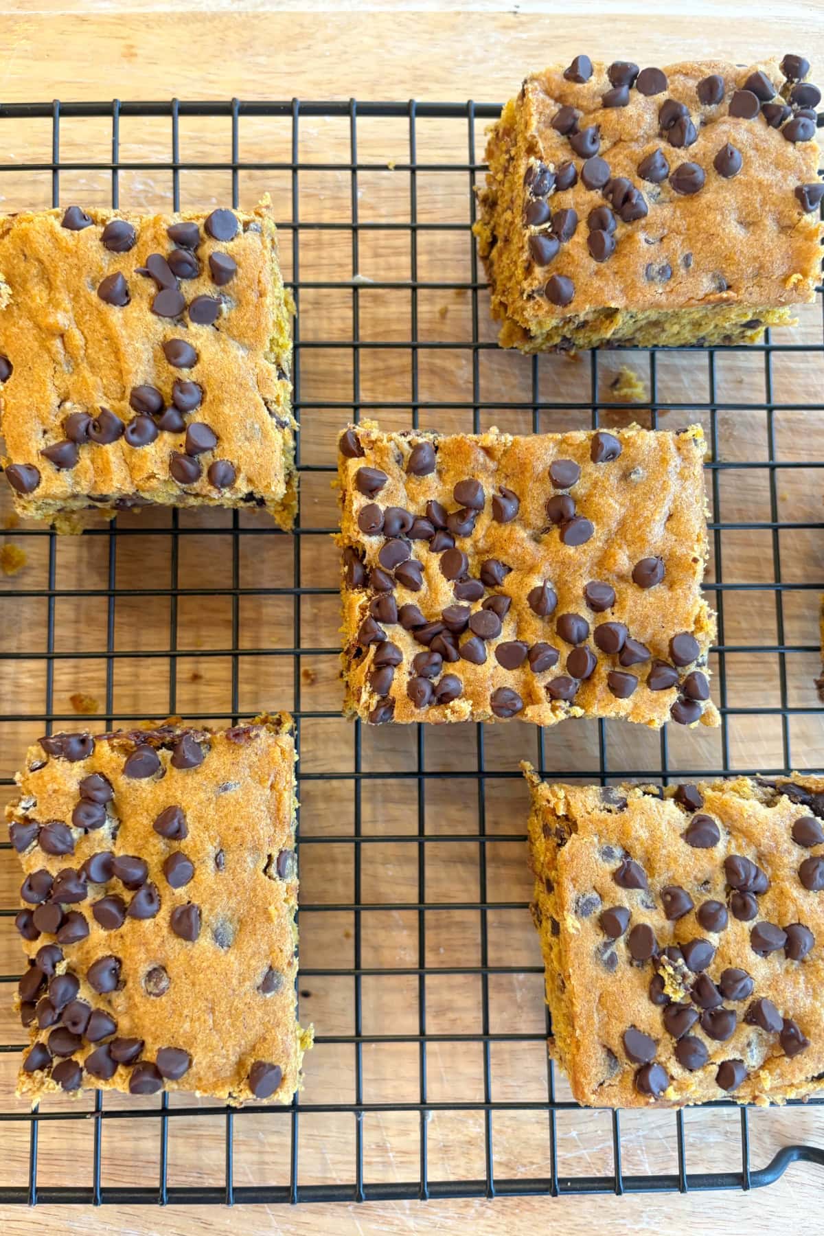 overhead shot of chocolate chip pumpkin squares on rack