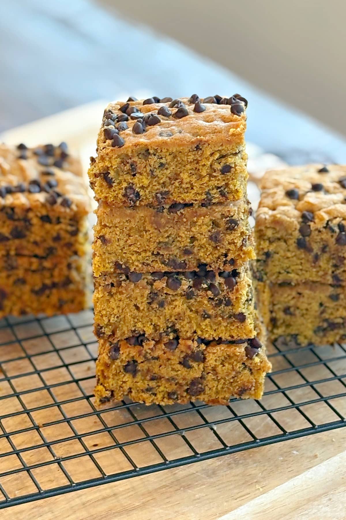 stack of chocolate chip pumpkin squares