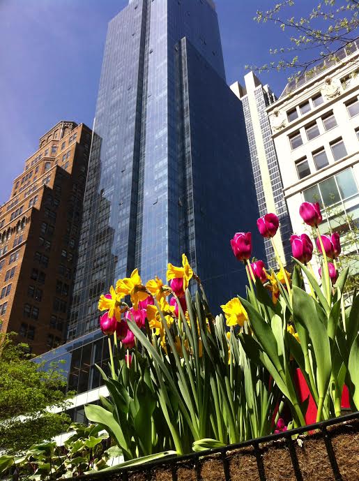 NYC in the Springtime