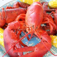 How to Steam Lobster Pinterest Pin