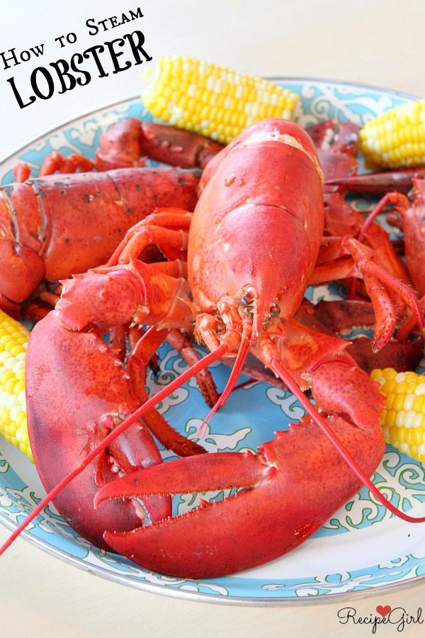 How to Steam Lobster - RecipeGirl.com