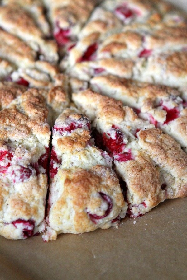 Cranberry Orange Scones cut on a baking sheet