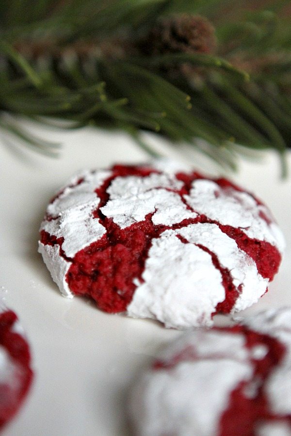 Red Velvet Gooey Butter Cookies 